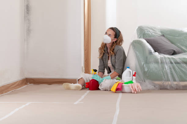 Reliable Black Mold Removal contractor in Arrington, TN by WQB Mold Removal